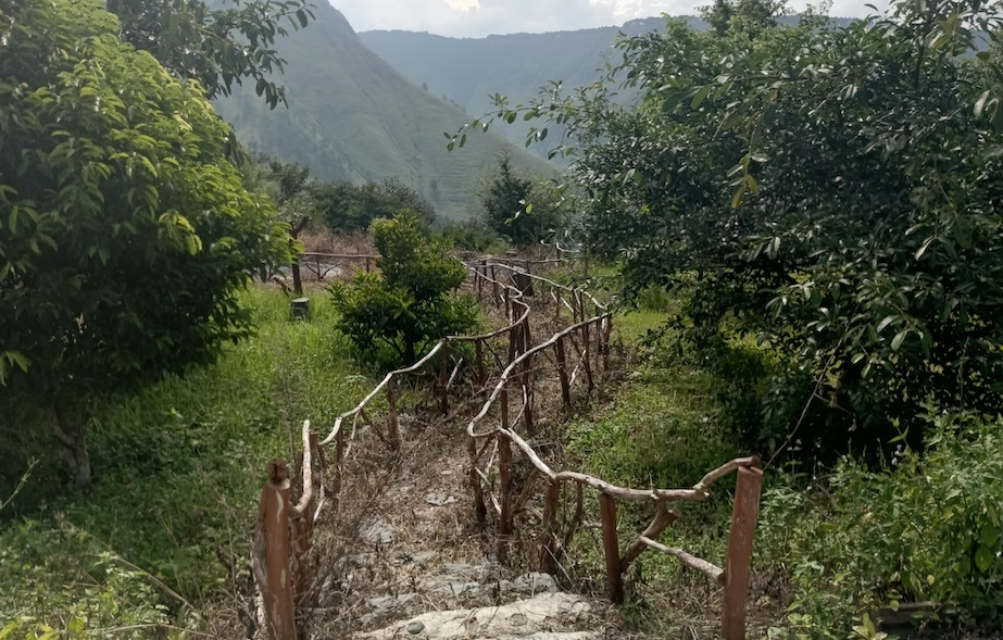 The price of sacred land